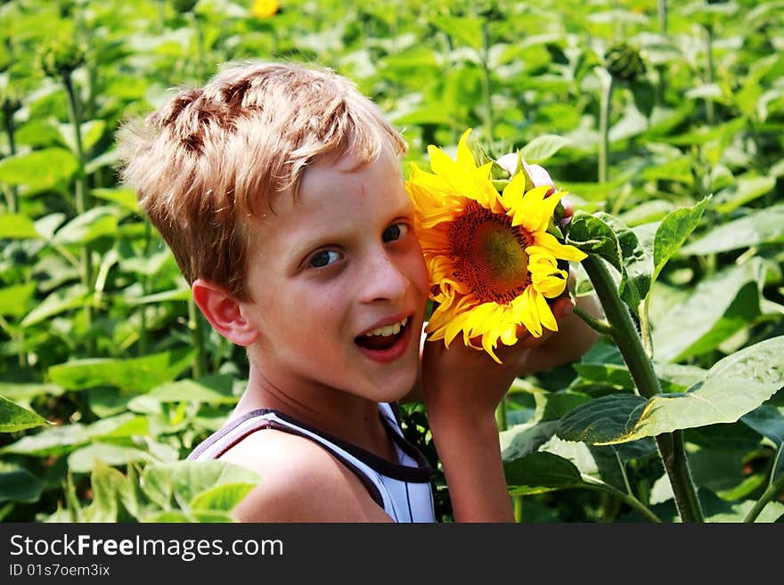 Young teenager boy with sunflower