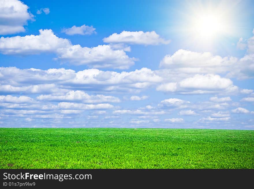 Summer field with green grass and blue sky with clouds. Summer field with green grass and blue sky with clouds