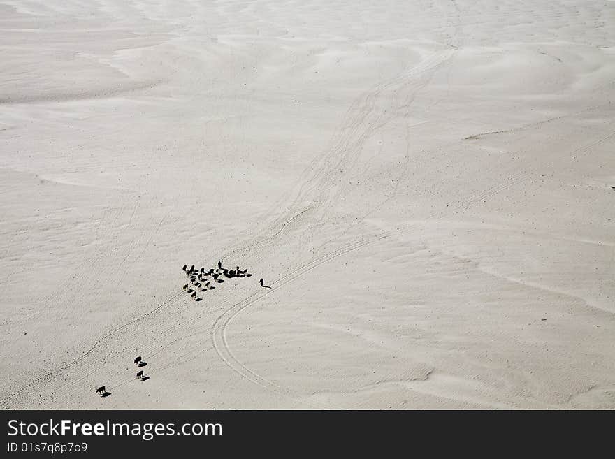 Beautiful landscape in tibet, china