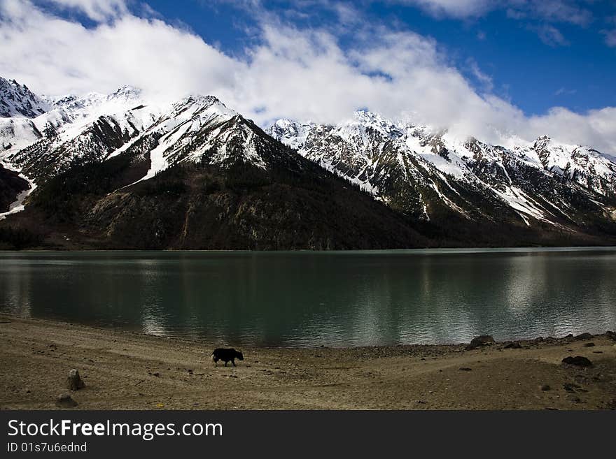 Landscape With Lake