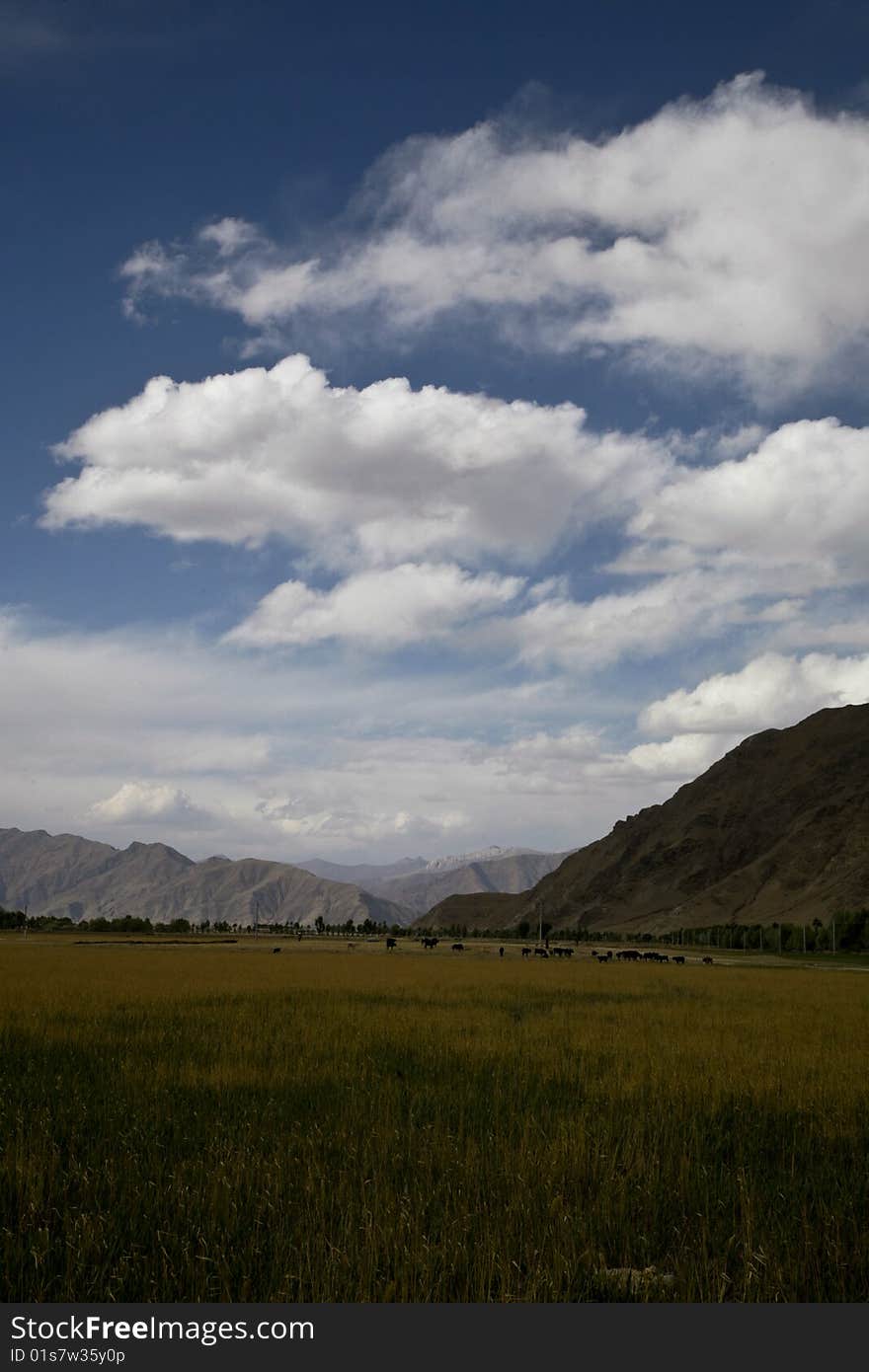 Beautiful landscape in tibet, china