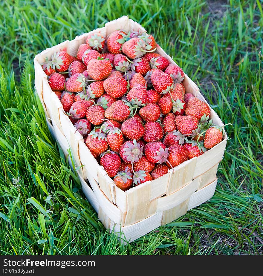 Group of fresh, succulent strawberries