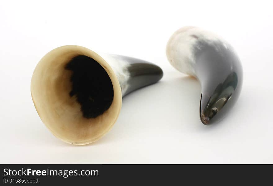 Polished Cow Horn