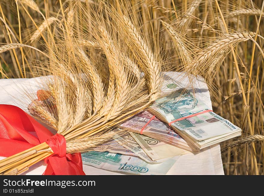 Crop of wheat and money.