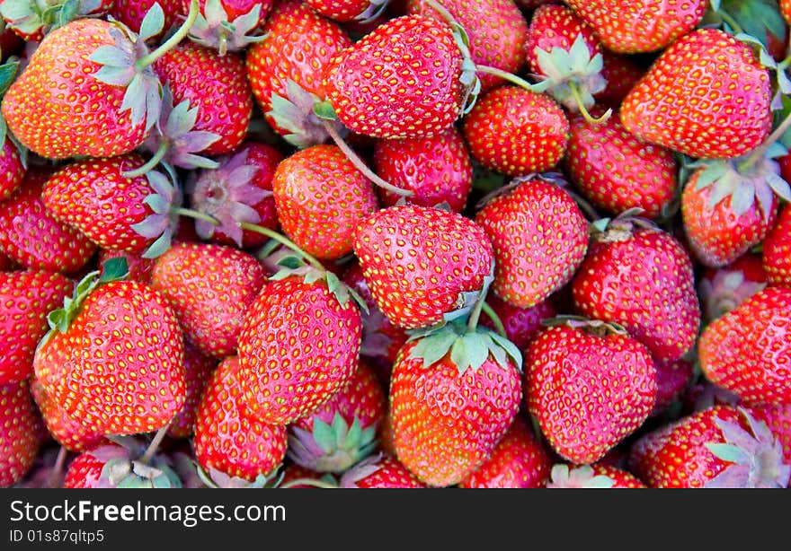 Group of fresh, succulent strawberries