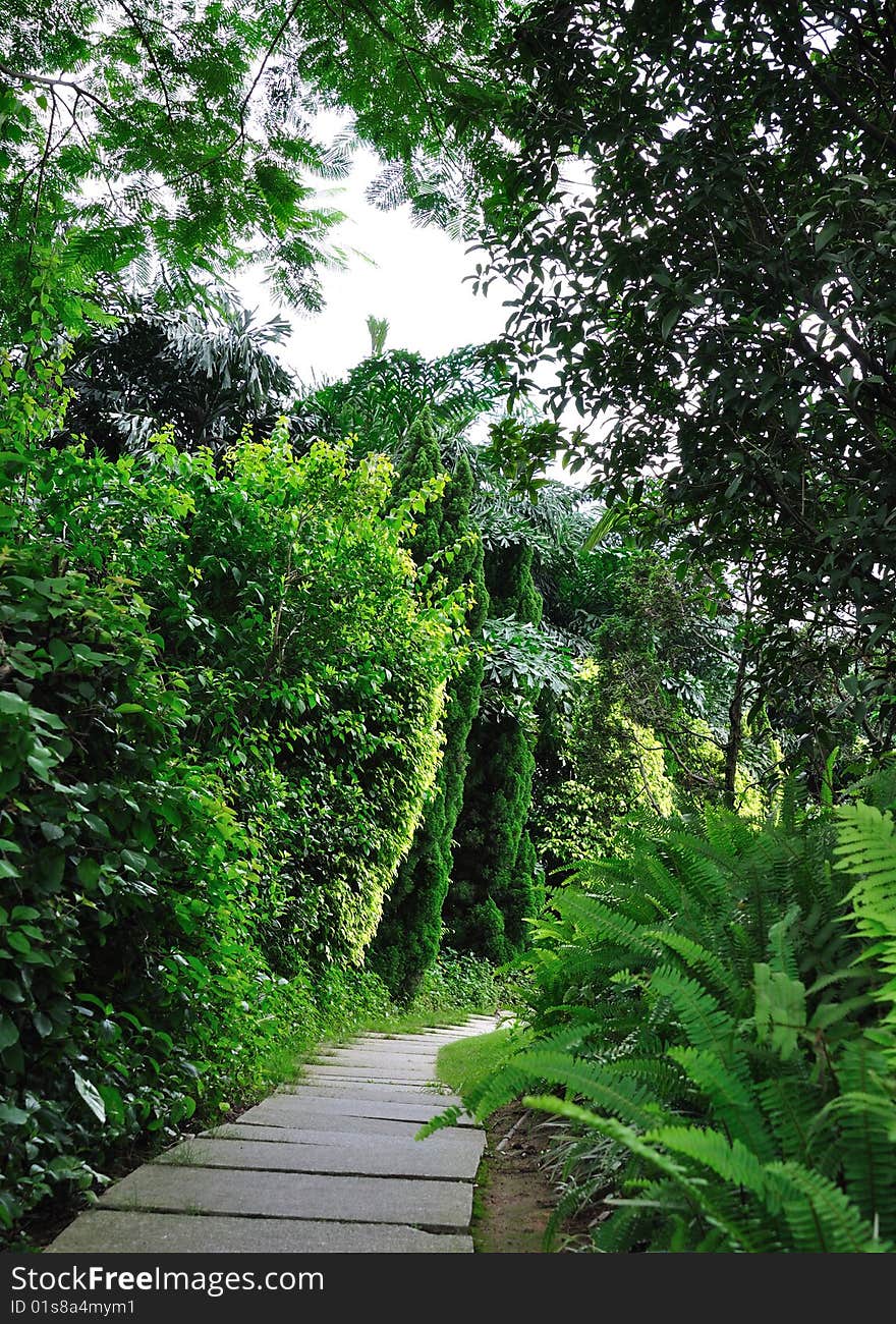 Path spread with stone plate in garden around green tree and grass, Guangzhou, Southen China. Path spread with stone plate in garden around green tree and grass, Guangzhou, Southen China.