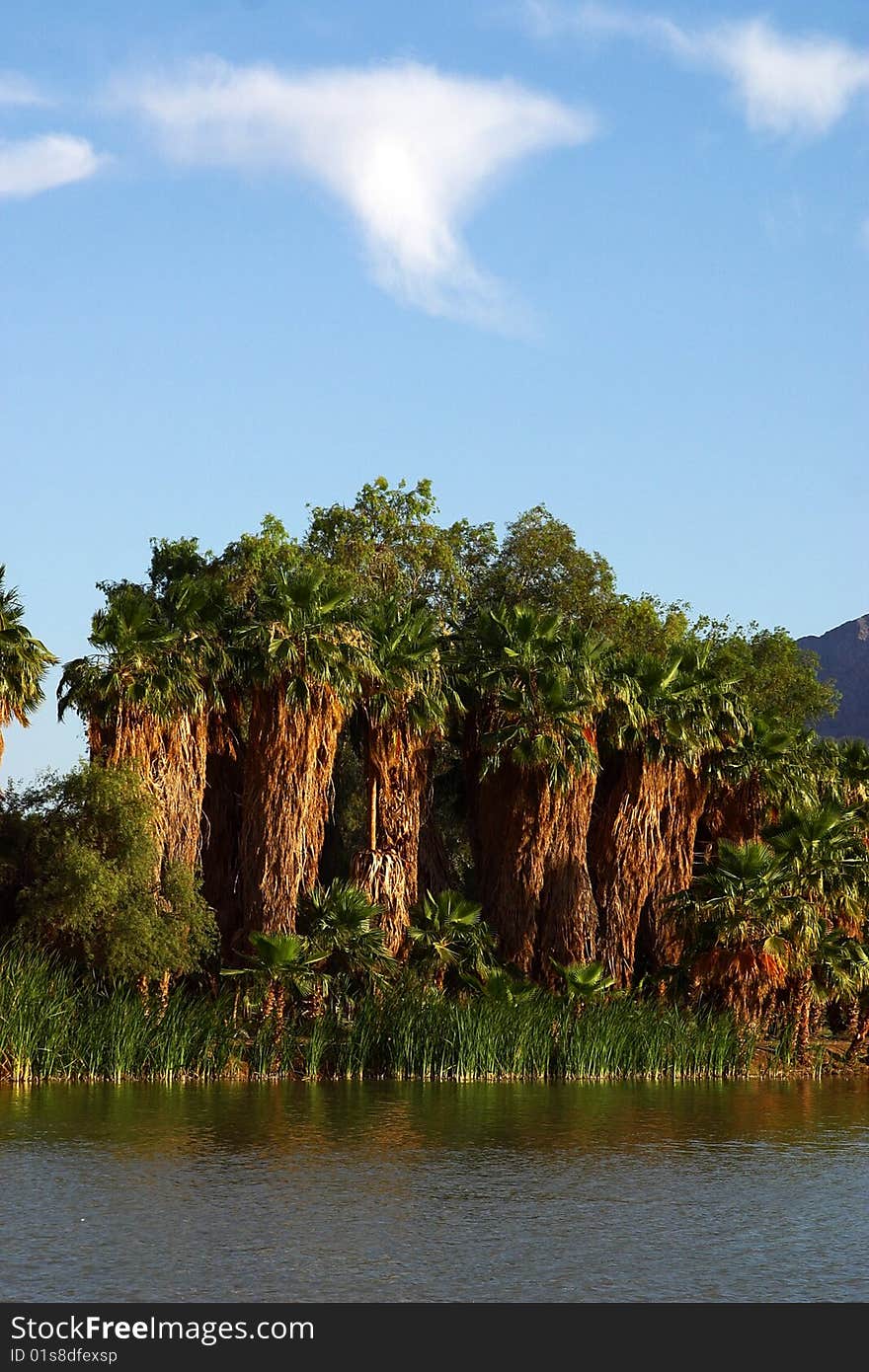 Lake in Baja California in Mexico, near of San Felipe