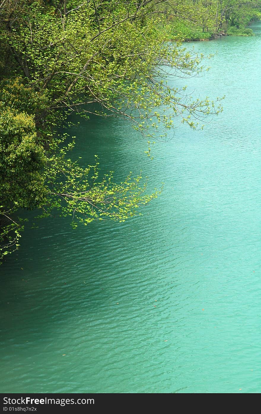 A peaceful riverlet, in summer.