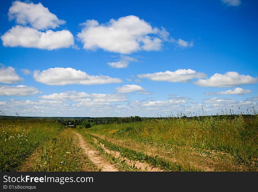 Green Landscape and Country Road. Green Landscape and Country Road