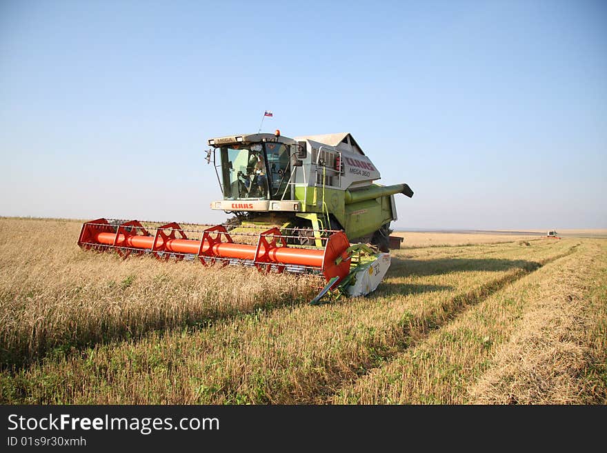 Combine removes the cereal crops. Combine removes the cereal crops