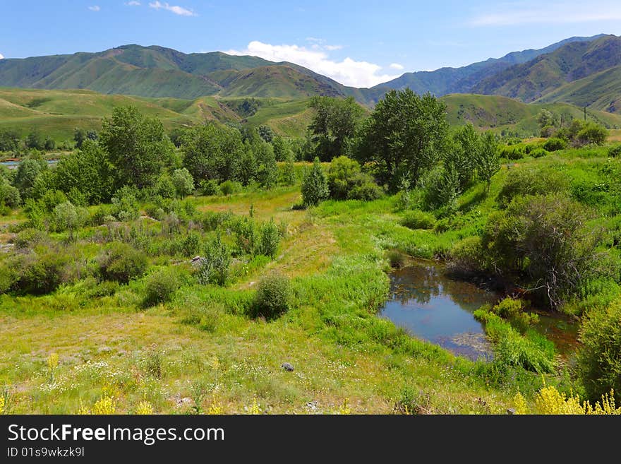 Small lake among trees in mountains