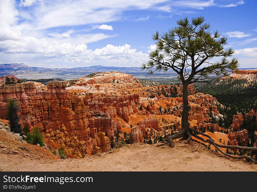 Bryce Canyon