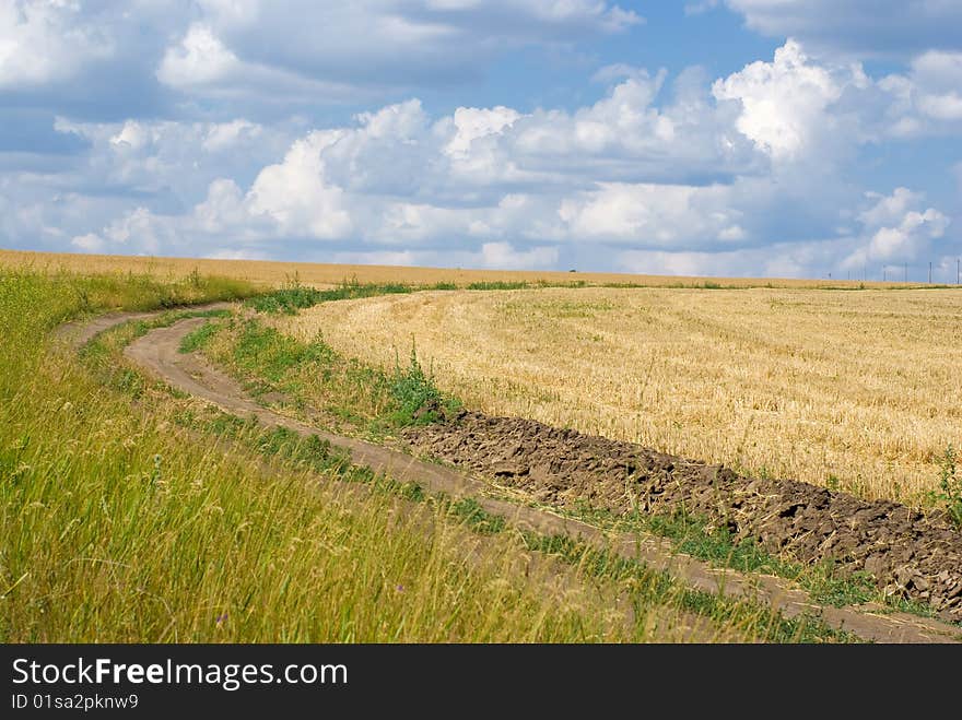 Haymaking time in Ukraine. It's very hot and yellow.