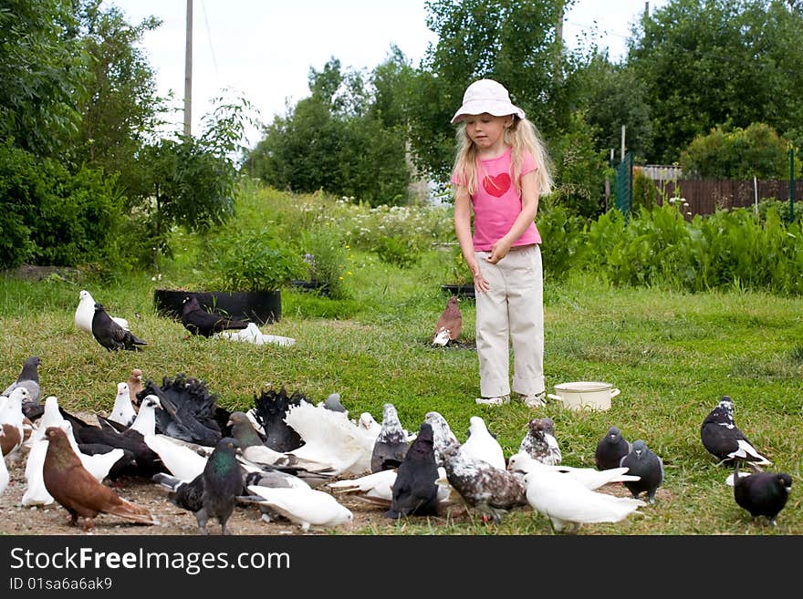 The girl feeds doves summer. The girl feeds doves summer