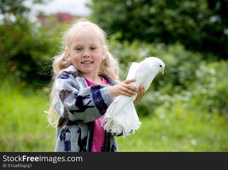 Portrait of the little girl on a green background with a dove. Portrait of the little girl on a green background with a dove