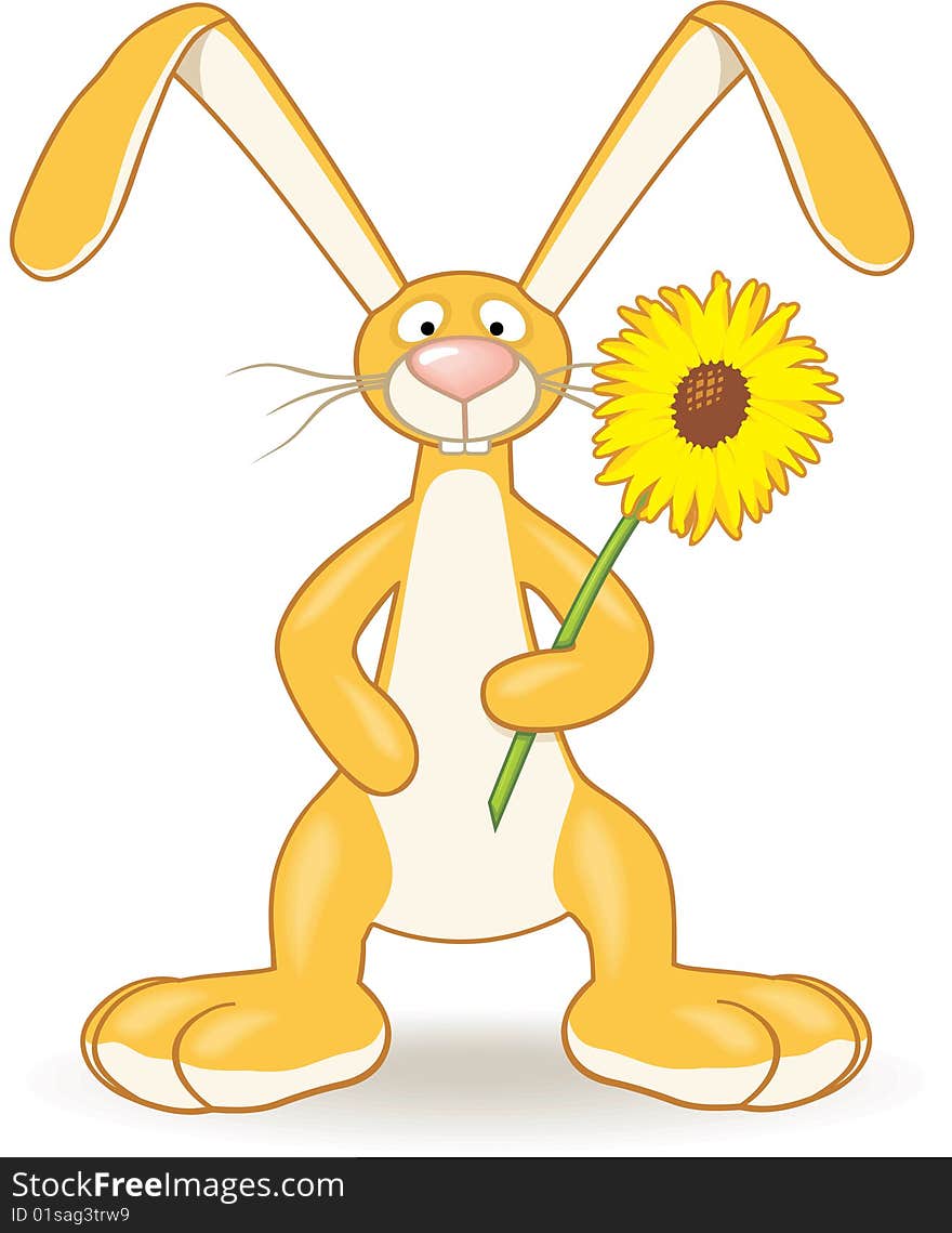 Bunny With Sunflower