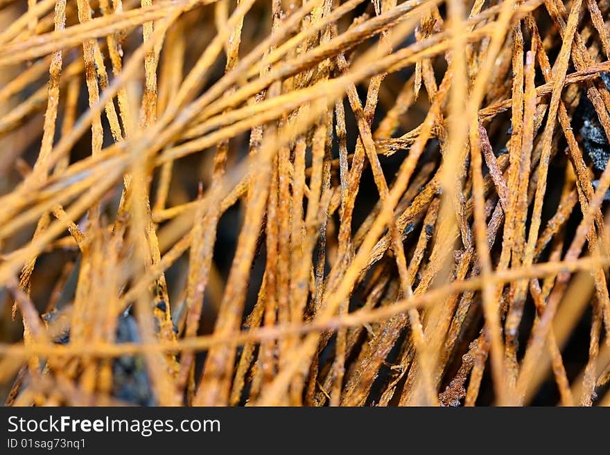 Closed up rusty wire background