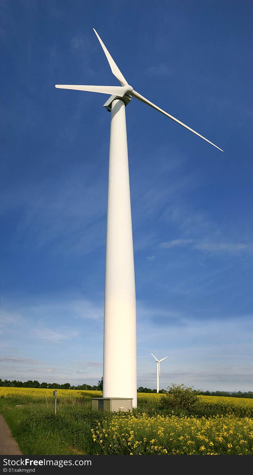 Windmills and a rape field