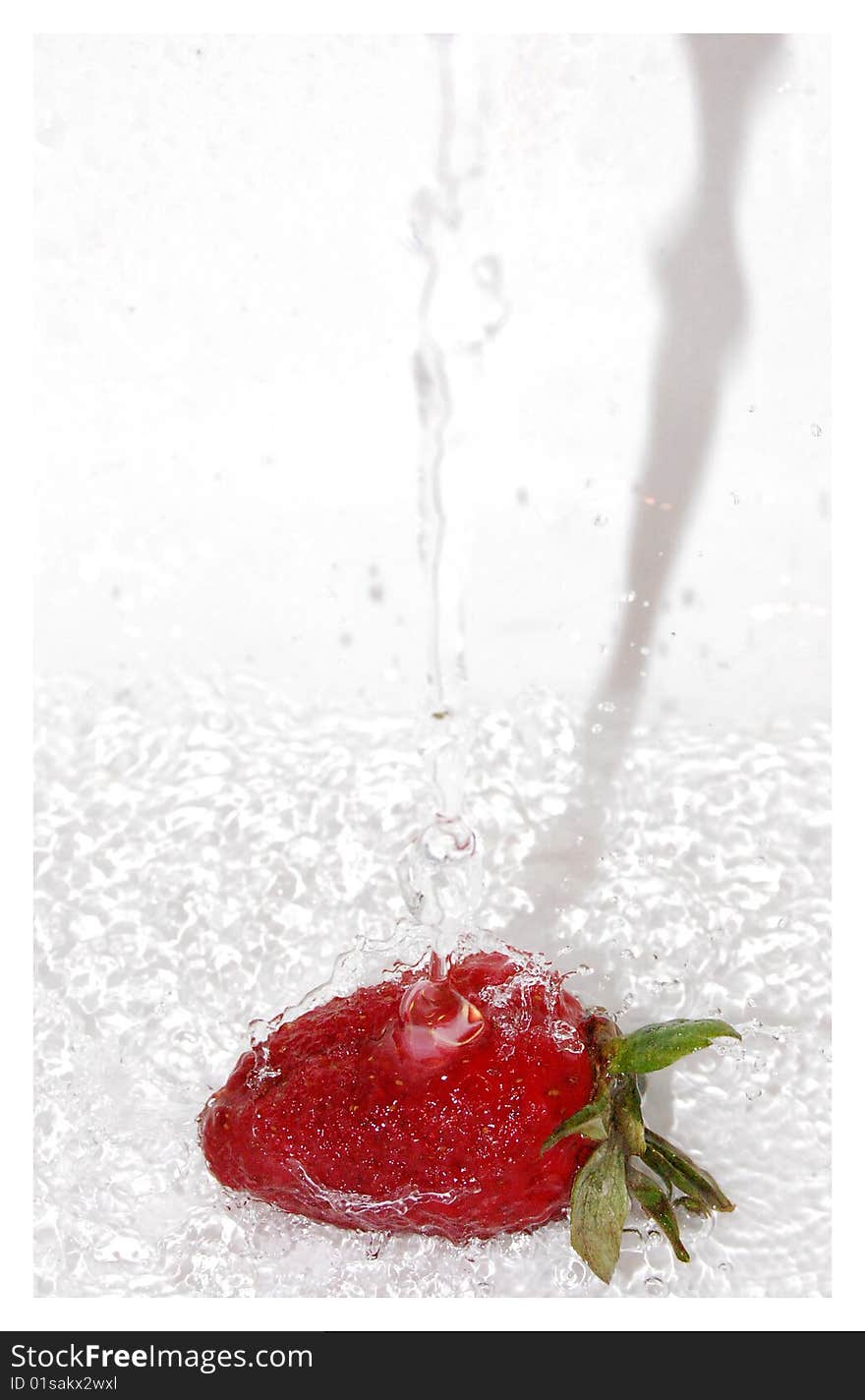 Pouring water over strawberry on white background. Pouring water over strawberry on white background