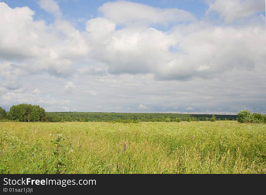 Years Landscape