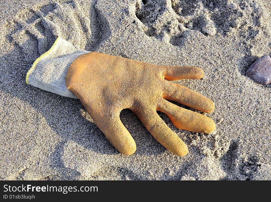 Glove On A Beach