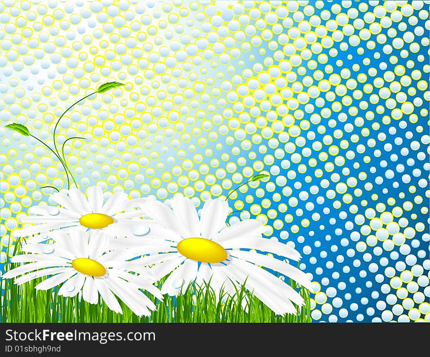 Abstract bright background with chamomiles and green grass. Abstract bright background with chamomiles and green grass