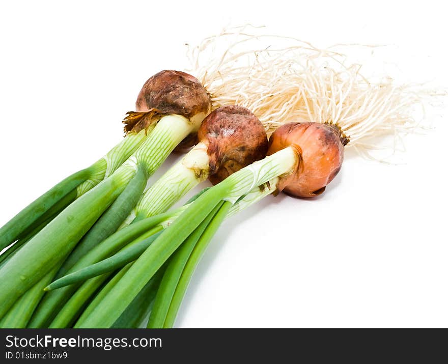 Fresh green leek isolated on white background. Fresh green leek isolated on white background