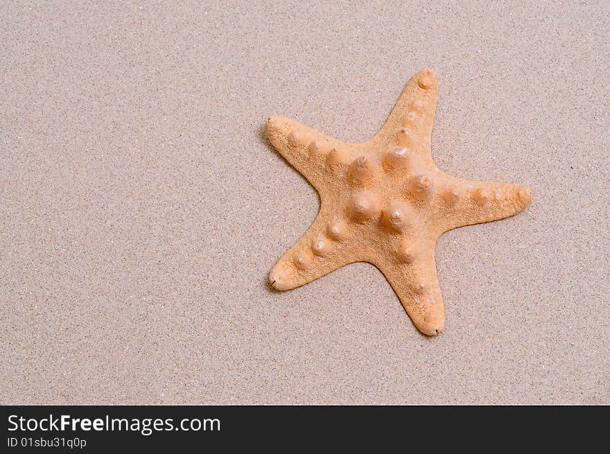 Beautiful starfish on bright white sand.