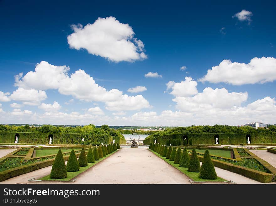 Summer tree against blue sky with white cloud background