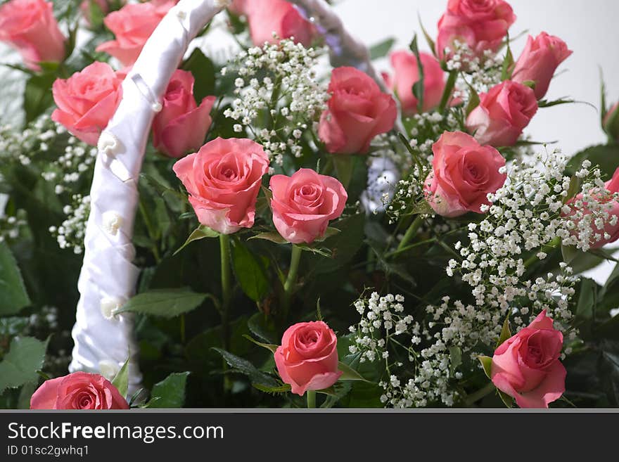 Roses in basket over white studio shot