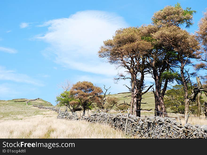 Yorkshire Dales landscape