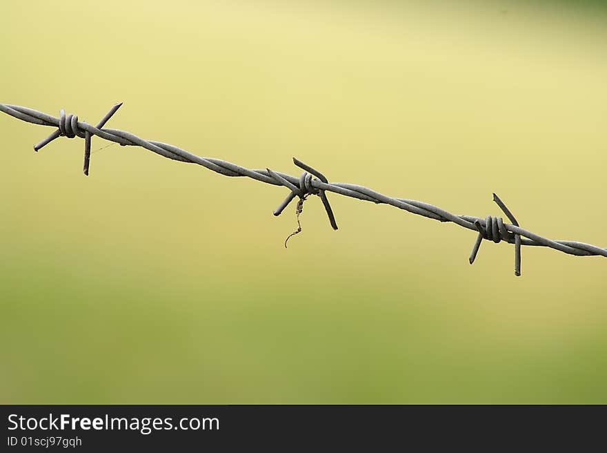 Strand of barbed wire with oof background.