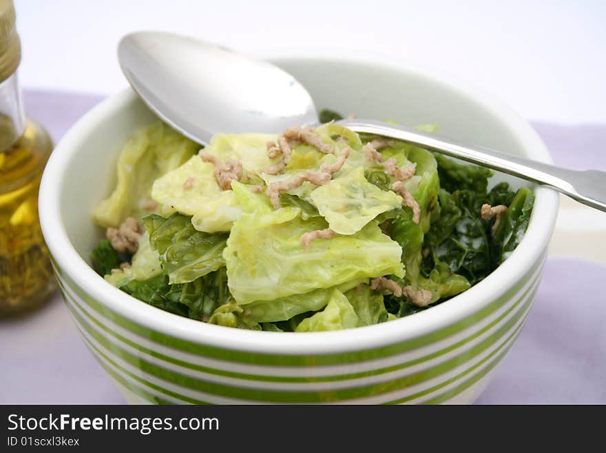 A fresh stew of green cabbage with meat