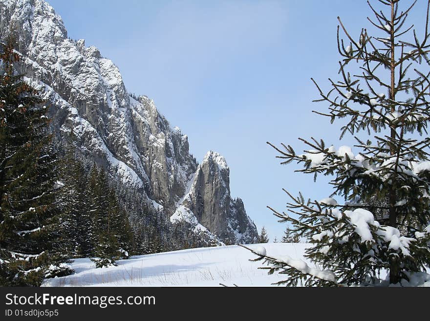 Tatra mountains during winter - trees and rocks. Tatra mountains during winter - trees and rocks