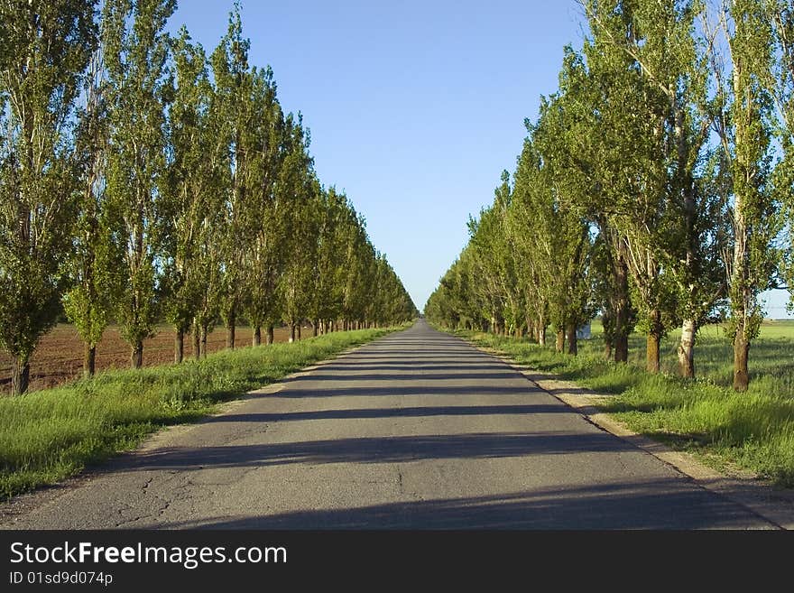 Empty road to perspective in summer day