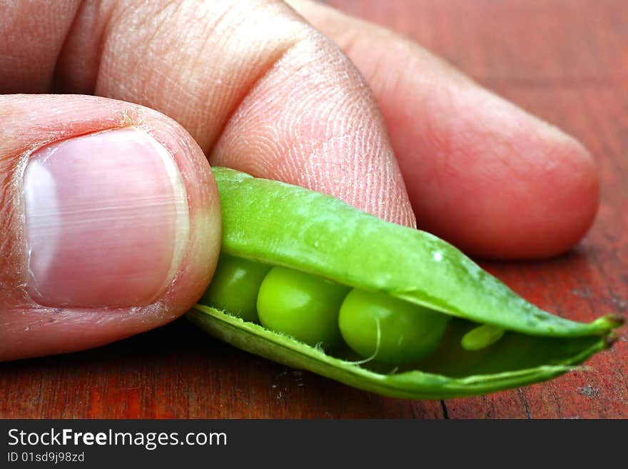 Hand open fresh green peas