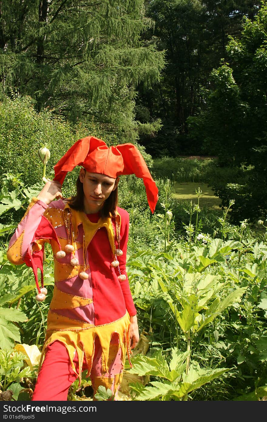 Man dressed in a clown`costume walking in a park