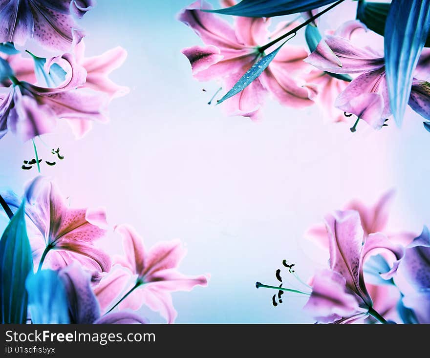 Tender lily in floral background. Tender lily in floral background