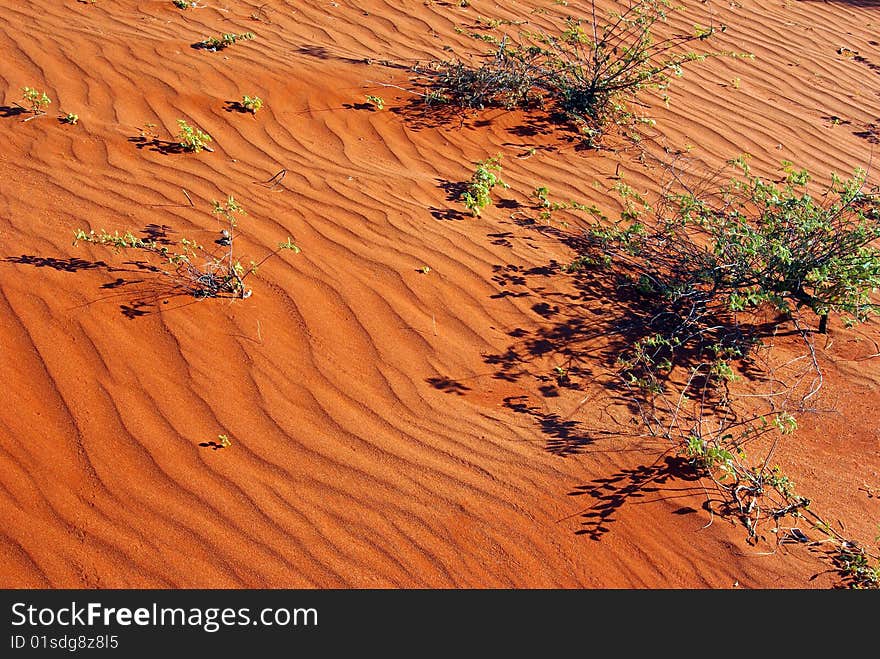 Detail of sand dune in the Red Centre - Australian desert. Detail of sand dune in the Red Centre - Australian desert.