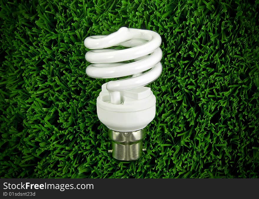 Fluorescent Light Bulb