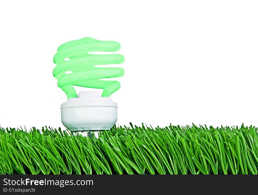 A fluorescent light bulb seems to sprout from a patch of grass