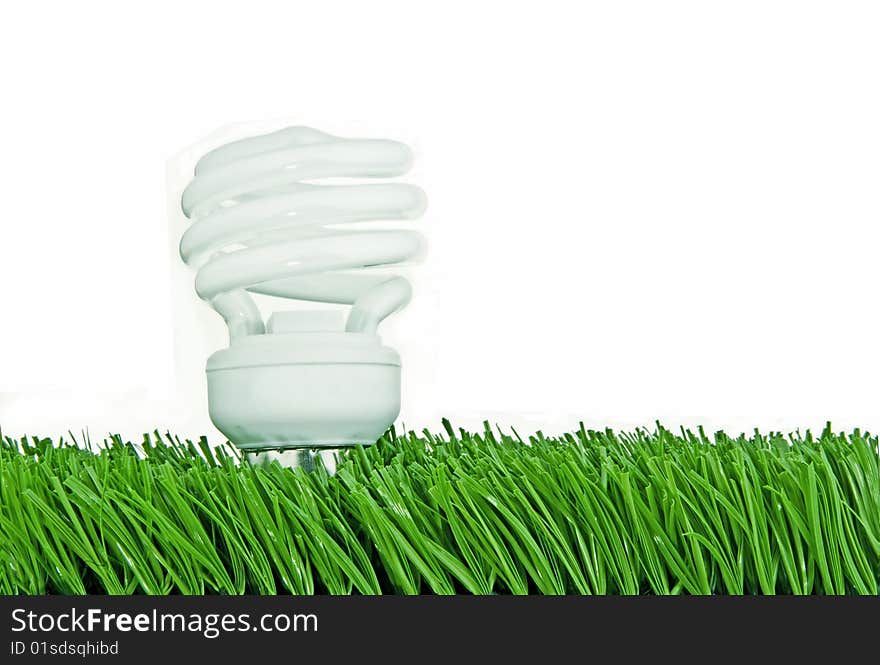 A fluorescent light bulb seems to sprout from a patch of grass