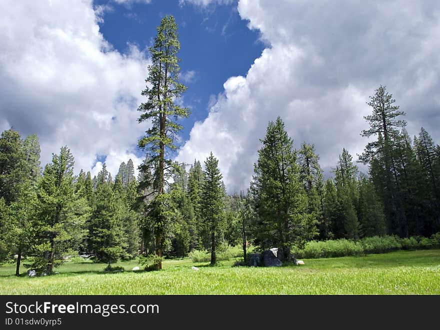 Mountain meadow on a cloudy day