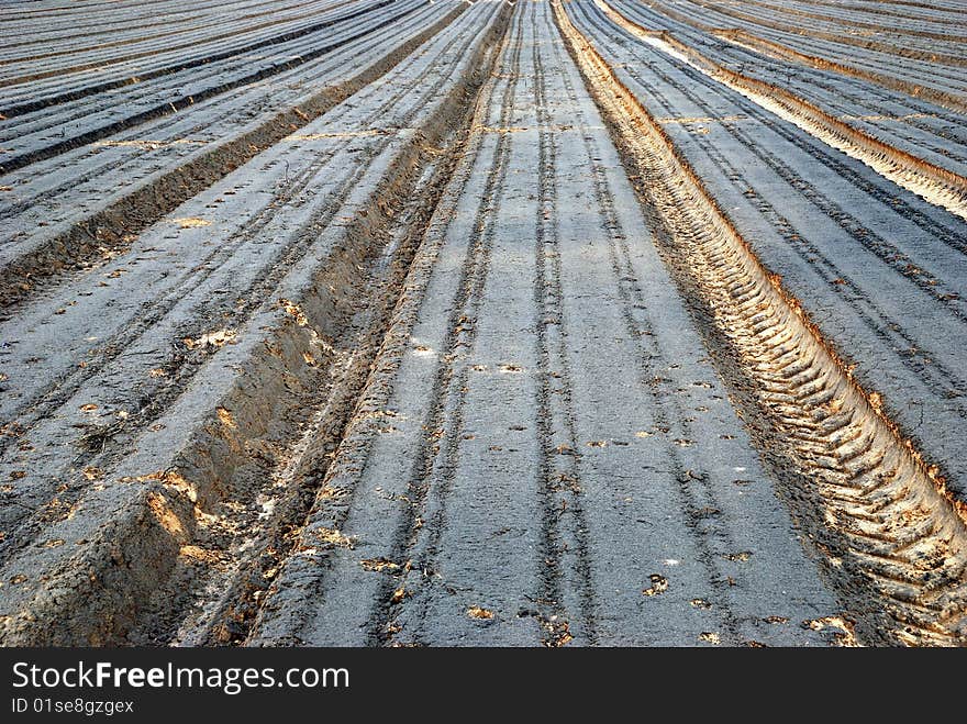 The ploughed field with numbers leaving afar