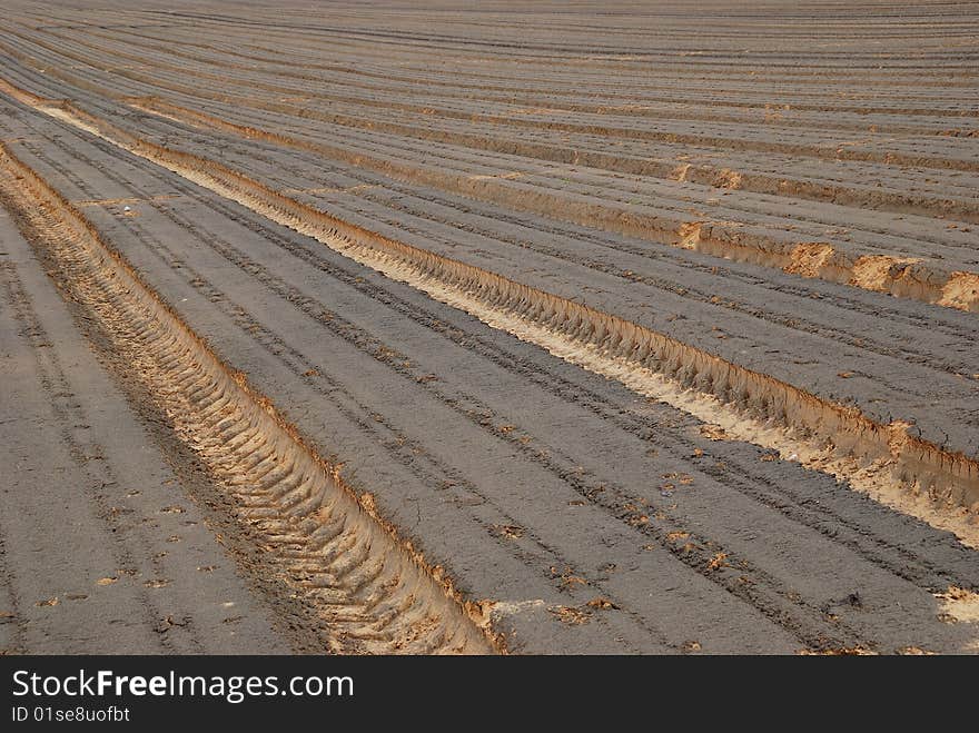 The ploughed field with numbers leaving afar