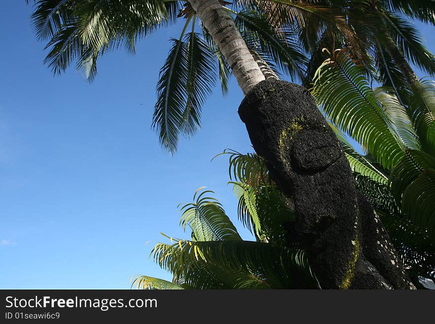 A clear blue sky with palm trees. A clear blue sky with palm trees