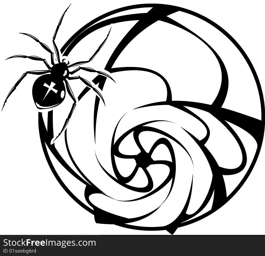 Spider vector illustration