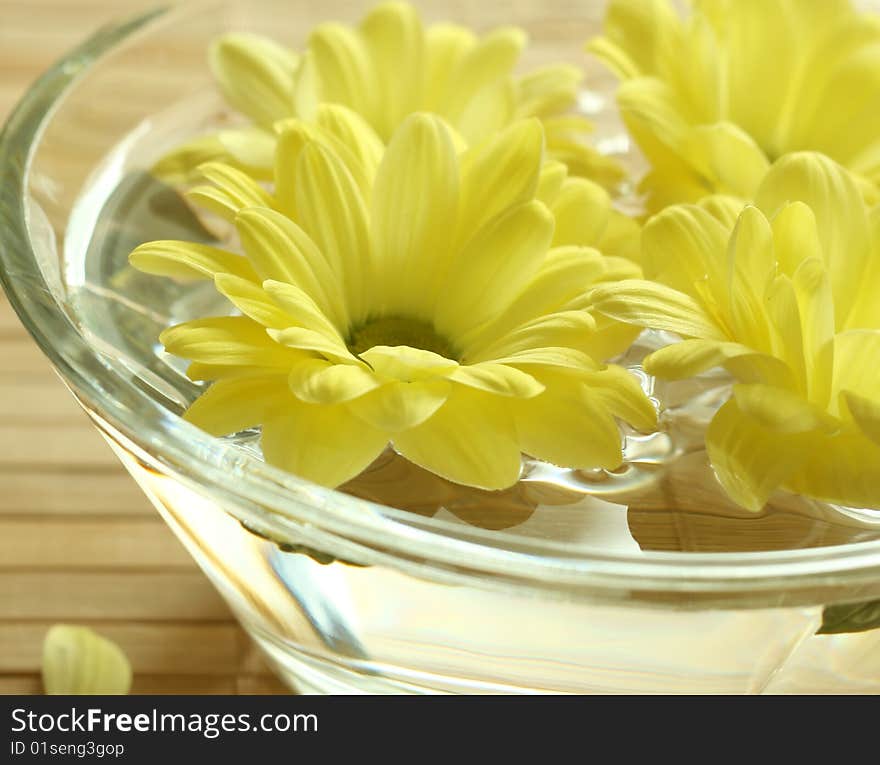 Yellow flowers floating in bowl. spa background