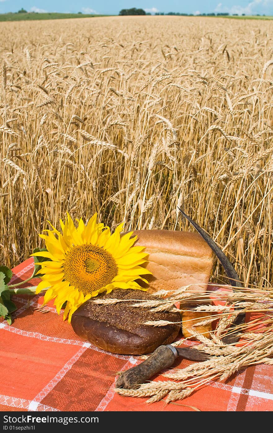 Bread and wheat stalks.