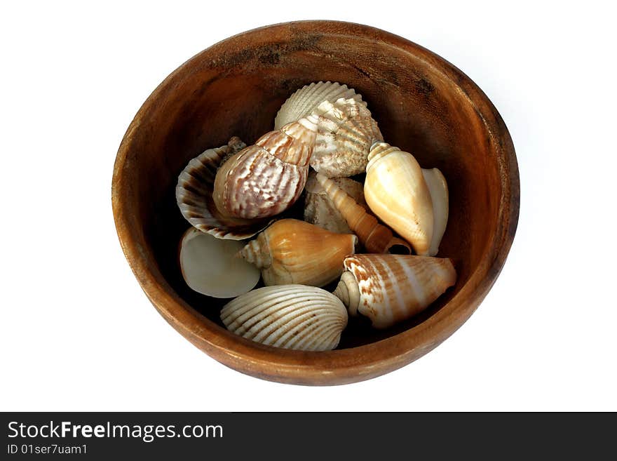 Wooden bowl with seashells isolated on a white background